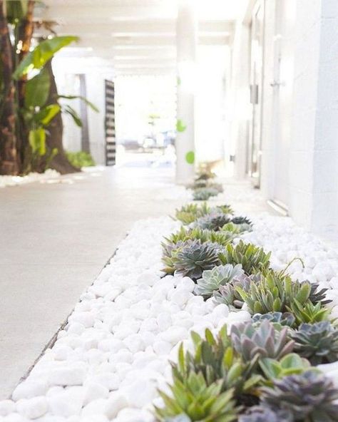 35 Modern Landscape Design Ideas For Minimalist Courtyard Garden | HomeMydesign Inexpensive Landscaping, White Rocks, Landscaping Around Trees, Modern Front Yard, Minimalist Garden, Gravel Garden, Rock Garden Landscaping, Landscape Designs, Front Yard Garden