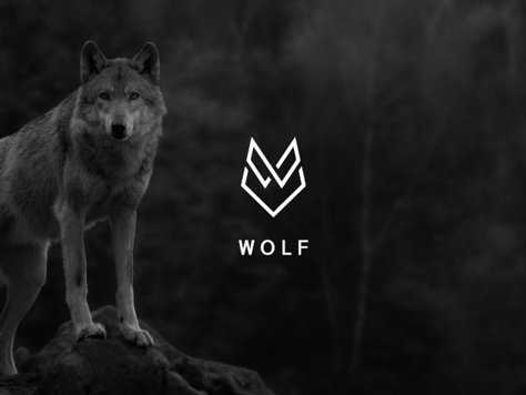 Wolf Logo, Wolf Logo Design, Wolf Logo Graphics, Wolf Shield Logo, Wolf Head Logo Design, Wolf Logo Minimal, Fox Logo Design, Law Firm Logo Design, Future Logo