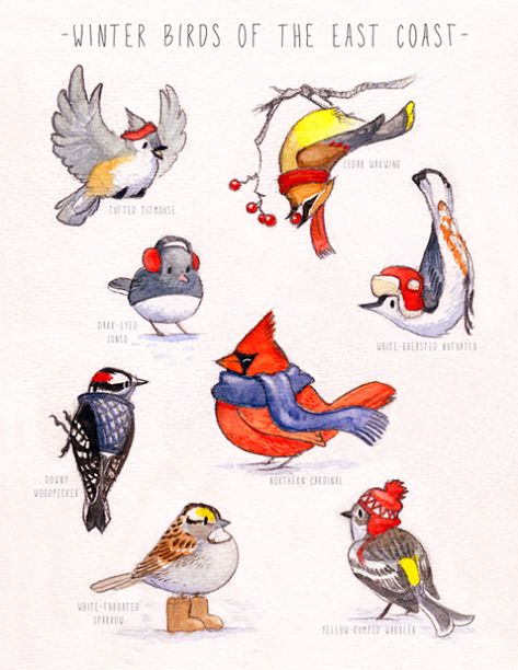 Winter Birds: Made me Smile Winter Birds, Cartoon Birds, Winter Illustration, Winter Bird, Christmas Bird, Bird Artwork, Winter Animals, Backyard Birds, Bird Drawings