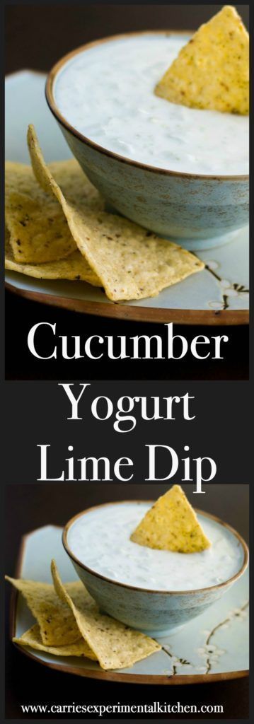 This low fat Cucumber Yogurt Lime Dip is so light and refreshing. Scoop your favorite tortilla chip or place on top of grilled chicken or fish. #dip #healthysnack #yogurt Christmas Recipes Dinner Main Courses, Lime Dip, Fish Dip, Dip Recipes Appetizers, Tortilla Chip, Cucumber Yogurt, Best Pasta Salad, Appetizers For A Crowd, Easy Holiday Recipes