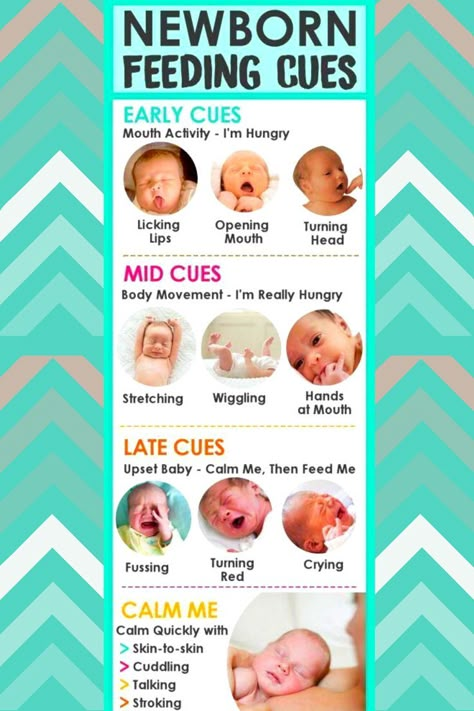 Feeding Times For Newborns, Feeding Newborn Amount, Newborn Feeding Cues, How Much To Feed A Newborn, Feeding Schedule For Newborn, Newborn Eating Amount, Newborn Guidelines, Cluster Feeding Newborn, Combo Feeding Schedule Newborn