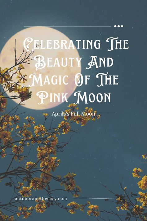 Pink Moon Meaning, April Magick, Outdoor Apothecary, Moon Hare, Hare Moon, Full Buck Moon, Full Strawberry Moon, Full Blue Moon, Corn Moon