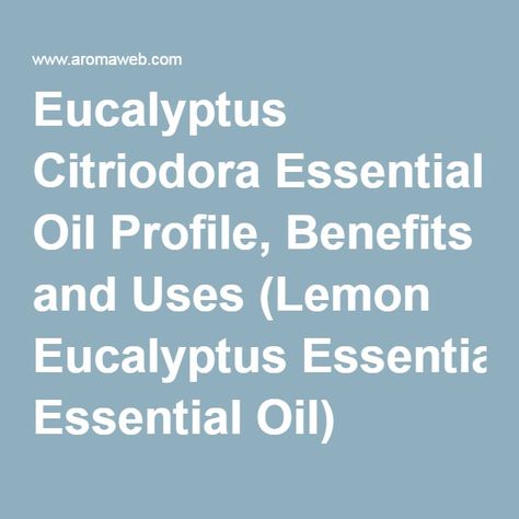 Eucalyptus Citriodora Essential Oil Profile, Benefits and Uses (Lemon Eucalyptus Essential Oil) Eucalyptus Citriodora, Lemon Eucalyptus, What To Watch, Essential Oil Benefits, Eucalyptus Oil, Eucalyptus Essential Oil, Oil Benefits, Natural Health, Essential Oil