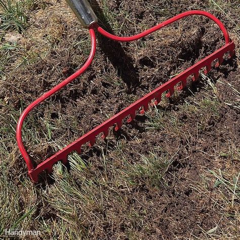 Crabgrass Removal, Garden Planting Guide, Composting Ideas, Garden Design Inspiration, Lawn Repair, Planting Guide, Garden Rake, Diy Lawn, The Family Handyman