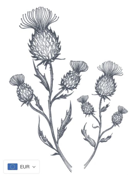 Thistle Tattoo Black, Cm Tattoo, Thistle Flower Tattoo, Scotland Tattoo, Scottish Thistle Tattoo, Scottish Tattoo, Scottish Tattoos, Thistle Tattoo, Unconventional Beauty