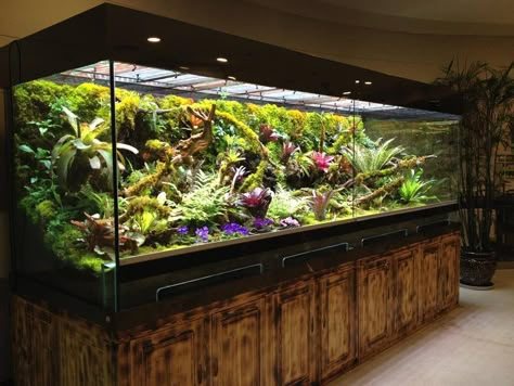 Over the top terrarium... WOW!!