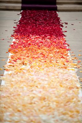 beautiful ombre Wedding Aisles, Ombre Wedding, Wedding Aisle, Silk Roses, Wedding Wishes, Here Comes The Bride, Wedding Themes, Plan Your Wedding, Rose Petals