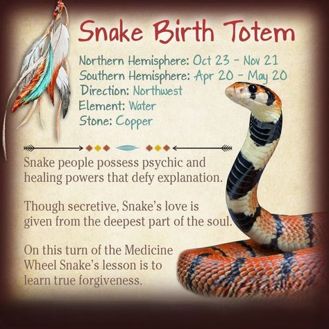 Native American Zodiac Birth Totem, Snake Symbolism, Snake Totem, Animal Totem Spirit Guides, Birth Signs, Totem Animals, Animal Spirit Guides, American Quotes, Native American Quotes