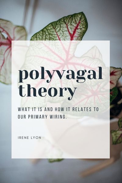 Polyvagal Theory, Nervus Vagus, Mental Health Blogs, Radical Acceptance, Emdr Therapy, Parasympathetic Nervous System, Healing Touch, Vagus Nerve, Therapy Counseling