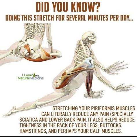 Piriformis Muscle, Trening Fitness, Health And Fitness Articles, Easy Yoga Workouts, Back Pain Exercises, Fitness Articles, Hip Pain, Trening Abs, Stretching Exercises