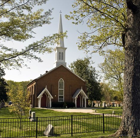 Extended Family Session, Presbyterian Church, Extended Family, Amazing Grace, Family Session, The United States Of America, States Of America, My Board, United States Of America