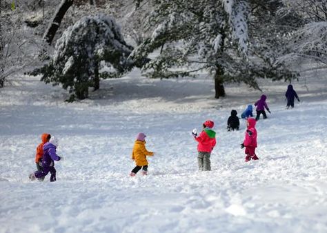 466827687-children-play-as-snow-covers-part-of-central-park Bell Reference, Snow Day Activities For Kids, Kids Playing In Snow, Snow Playing, Snow Day Activities, Playing In Snow, Snow Weather, Reference Ideas, Frozen Pond