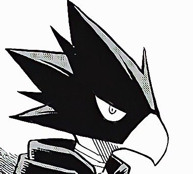 Tokoyami Manga Icon, Fanfic Binding, Tokoyami Manga, Mha Black And White, Mha Tokoyami, Tokoyami Boku No Hero, Mha Pfp, Tokoyami Fumikage, Fumikage Tokoyami