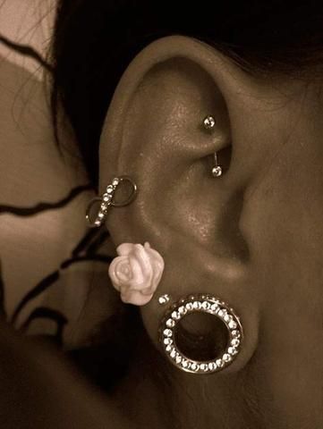 Cute Piercings Ideas, Piercings Ideas Face, Small Ear Gauges, Ear Piercing Combinations, Unique Ear Piercings, Piercings Ideas, Ear Piercings Helix, Face Piercings, Linda Hallberg