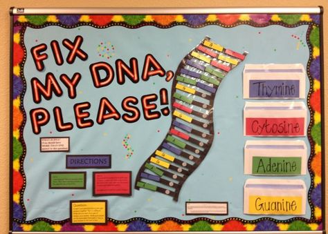 20 of the Best Science Bulletin Boards and Classroom Decor Ideas Life Science Classroom, High School Science Classroom, High School Bulletin Boards, Science Display, Science Bulletin Boards, Dna Structure, Classroom Decor Ideas, Interactive Bulletin Boards, Biology Projects