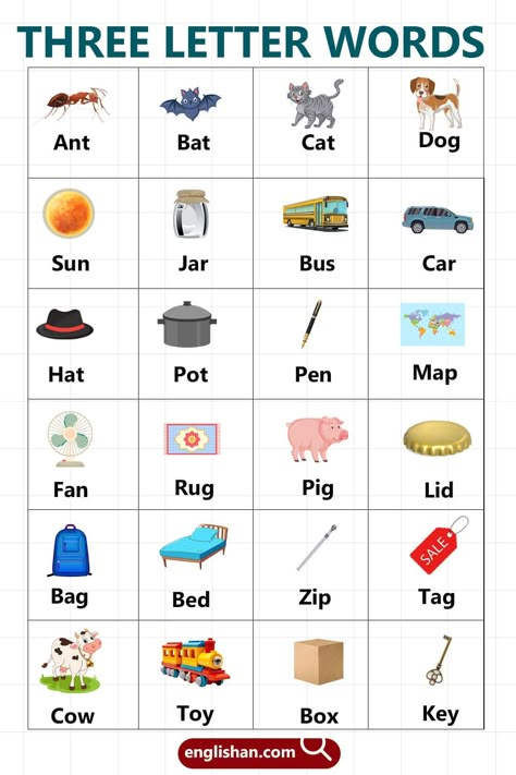 Three Letter Words for Kids in English Three Letter Words With Pictures, Daily Vocabulary Words English, Three Letter Words For Kids, Two Letter Words For Kids, Three Letter Words Worksheets, 3 Letters Words, Words Starting With J, English Spelling Words, Daily Vocabulary Words