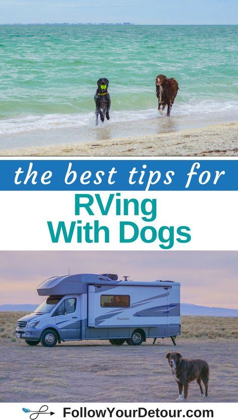 Are you considering full-time RVing and bringing your dogs along with you? Here are all the tips, ideas, tricks, and products you need to hear before leaping into RV life. Your dogs will adjust to living in the #RV just like you, but its important to be prepared. This couple offers lots of RVing resources on their blog to help you plan your road trip route, find the best camping spots, give travel recommendations, and more! #RVlife #RVing #dogs #camping #roadtrip #tips #RVliving #rvfulltime Rv Dog, Dogs Camping, Campervan Travel, Camping With Dogs, Rv Camping Checklist, Trailer Living, Electric Forest, Rv Living Full Time, Dog Camping