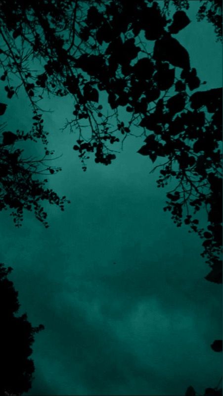 Black And Teal Aesthetic, Dark Teal Wallpaper, Deep Teal Aesthetic, Teal Phone Wallpaper, Teal Green Aesthetic, Dark Aqua Aesthetic, Teal And Black Aesthetic, Teal Goth Aesthetic, Dark Greenish Blue Aesthetic