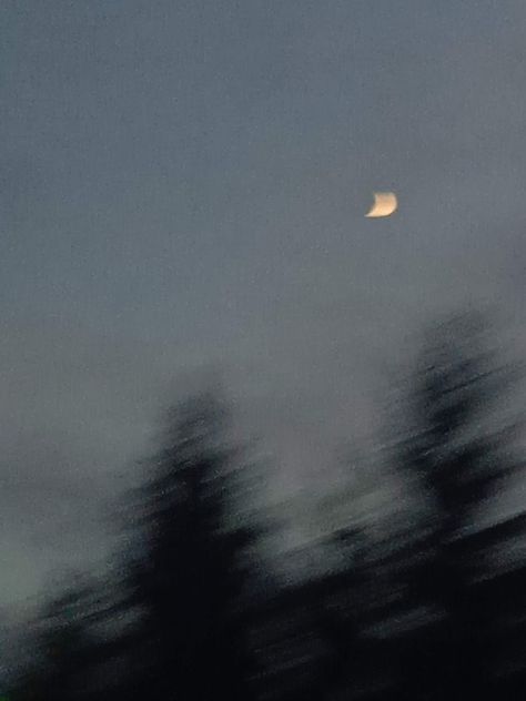 Blurry night sky with moon and trees Blurry Moon Aesthetic, Moon Blurry Aesthetic, Grunge Scenery, Night Sky With Moon, Moon And Trees, Blurry Night, Blurry Aesthetic, Blurry Pictures, Insta Profile