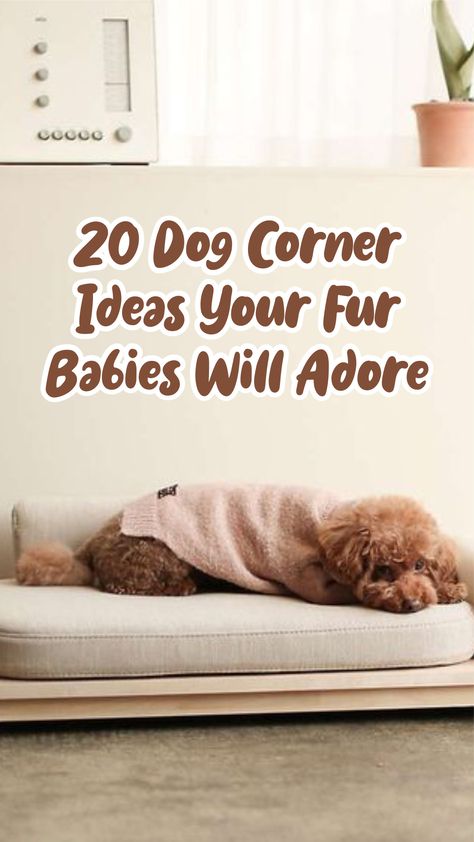 Dog Bed Decor Spaces, Pet Bed In Bedroom, Dog Bed Corner In Bedroom, Dog Space Apartment, Dog Beds Ideas, Dog Bed In Bedroom Ideas, Dog Nook In Bedroom, Dog Bed In Closet Ideas, Dog Bedroom Decor Ideas