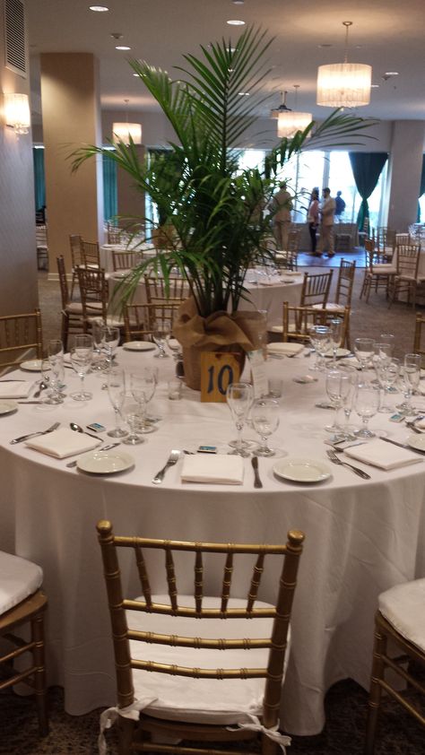 HOLIDAY INN MIAMI BEACH OCEANFRONT, Miami Beach - Palm Tree Centerpiece in keeping with beach theme Palm Tree Table Centerpieces, Palm Tree Centerpieces, Jungle Centerpieces, Appetizer Buffet, Jungle Beach, Tree Centerpiece, Flowers Centerpieces, Tree Centerpieces, Havana Nights