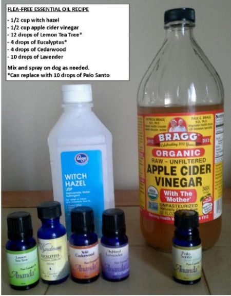 Most flea remedies use harsh and sometimes toxic chemicals. There are some eco-friendly options that are safer for your pet and the environment. Diy Dog Spray, Natural Flea Killer, Homemade Flea Spray, Natural Hacks, Flea Spray For Dogs, Dog Flea Remedies, Essential Oils For Fleas, Flea Remedies, Flea Repellent