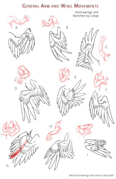 Drawing tutorial - arms and wings repinned by www.BlickeDeeler.de Wing Drawing, رسم كاريكاتير, Wings Drawing, Tutorial Drawing, Drawing Eyes, Drawing Hands, Cross Hatching, Drawing Hair, Art Help