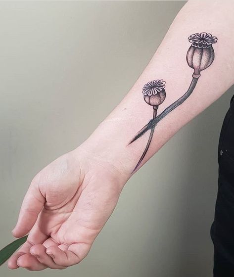 Paul Stillen poppy pods tattoo Poppy Seed Pod Tattoo, Poppy Pod Tattoo, Seed Tattoo, Poppy Head, Poppy Seed Pods, Botanical Tattoos, Scabiosa Pods, Poppy Tattoo, Poppy Pods