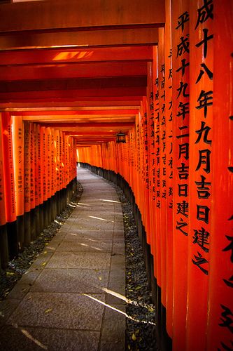 Torii gates - Fushimi Inari-taisha Shrine, Kyoto, Japan (Yokohama ---> Kobe) Japan Yokohama, Inari Shrine, Fushimi Inari Taisha, Fushimi Inari, Japan Photography, Japan Aesthetic, Aesthetic Japan, Kyushu, Orange Aesthetic