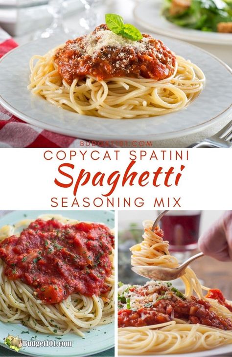 Make your Own Copycat Spatini Spaghetti Sauce Mix! This from scratch recipe is the perfect replica of it's store-bought counterpart. Check out more than 3,500 homemade mix recipes on Budget101.com  #Copycat #Clone #Spatini #Spaghetti #SeasoningMixes Spaghetti Sauce Mix Dry, Spaghetti Seasoning Mix Homemade, Spaghetti Seasoning Recipe, Spaghetti Sauce Seasoning, Marinara Recipes, Spaghetti Seasoning, Fries Seasoning, Creative Canning, Spaghetti Sauces