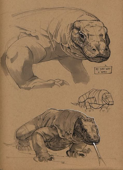 Reptiles Preschool, Reptiles Activities, Animal Sketch, Drawings Of Animals, Nature Sketch, Some Drawings, Cute Reptiles, Komodo Dragon, Animal Study