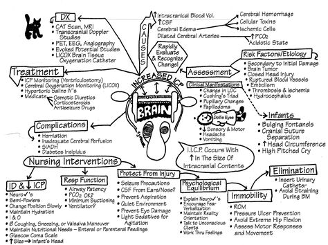 Increased Cranial Pressure (ICP) Lvn School, Nursing 101, Nursing Information, Nclex Review, Med Surg Nursing, Nursing Mnemonics, Surgical Nursing, Medical Surgical Nursing, Nursing School Studying