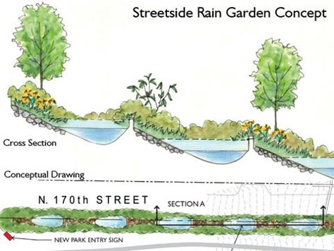 Street Side Rain Garden Concept Home Front Yard, Conceptual Drawing, Permaculture Design, Rainwater Harvesting, Dry Creek, Water Management, Rain Garden, Winter Garden, Urban Landscape