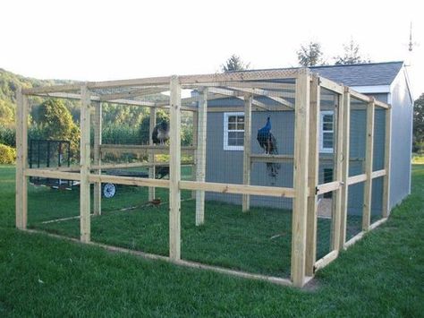 I'm getting ready to start build my first peacock coop. Does anyone have any suggestions  should... Peacock Coop, Coop Design, Chicken Coop Designs, Future Farms, Bird Aviary, Mini Farm, Farms Living, Down On The Farm, Hobby Farms