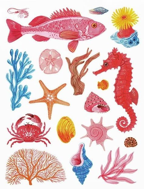 Sea Creatures Art, Sea Illustration, Coral Art, Gouache Illustrations, 22 December, Fish Drawings, Sea Theme, Sea Art, Fish Art