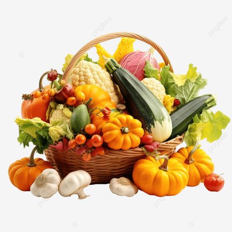 autumn vegetables harvest for thanksgiving concept farm food vegetable garden zucchini png Thanksgiving Png Images, Zucchini Garden, Autumn Vegetables, Garden Zucchini, Vegetable Harvest, Church Media Design, Farm Food, Harvest Thanksgiving, Frame Gallery