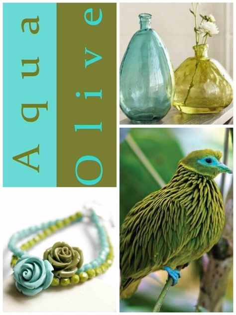 Aqua and Olive By Sammie R Olive And Turquoise Color Palette, Olive And Aqua Color Palette, Olive And Teal Color Scheme, Olive Green Colour Combinations, Color Palette Circle, Green And Teal Color Palette, Color Palette Clothes, Color Palette Code, Color Palette Emerald Green