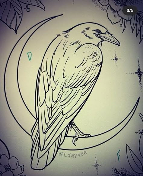 Colored Raven Tattoo, Crow And Moon Drawing, Morrigan Crow Tattoo, Raven Outline Drawing, How To Draw A Raven Easy, Crow Sketch Pencil, Raven With Moon Tattoo, Raven Tattoo Design Sketch, Simple Raven Tattoo Outline