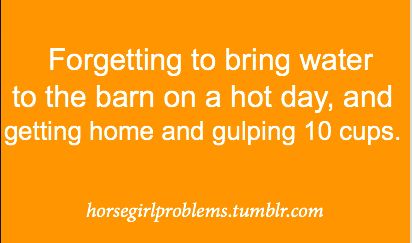 Cowgirl Problems, Horse Girl Problems, Horse Quotes Funny, Horse Lessons, Equestrian Quotes, Country Girl Problems, Cowgirl Quotes, Riding Quotes, Equestrian Problems