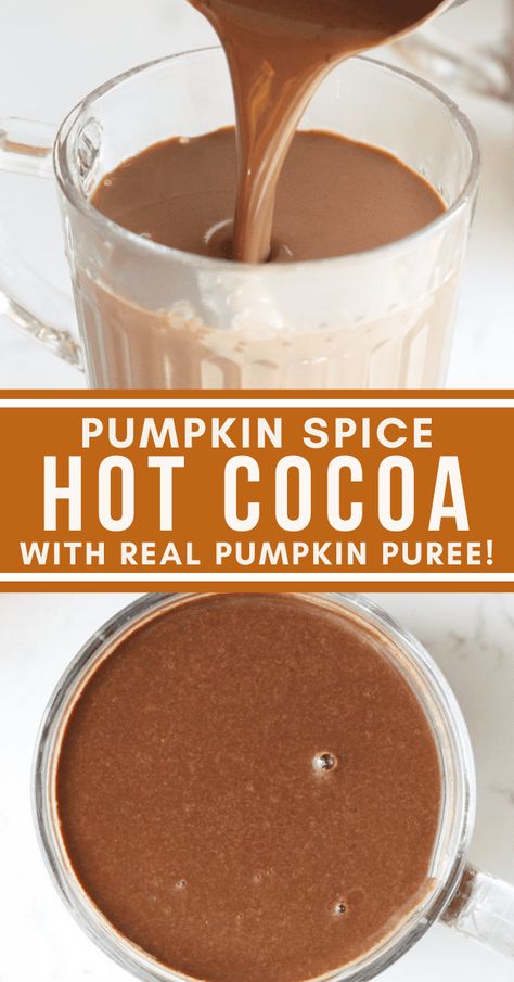 This delicious pumpkin spice hot chocolate recipe takes your regular cup of cocoa to a whole new level! Made with real pumpkin puree, chocolate chips and the added warmth of pumpkin spice, this Fall drink is one you'll want to make again and again! Pumpkin Spice Hot Chocolate Recipe, Pumpkin Spice Hot Cocoa, Real Pumpkin Puree, Pumpkin Spice Hot Chocolate, Spice Hot Chocolate, Pumpkin Hot Chocolate, Paleo Drinks, Healthy Homemade Snacks, Best Paleo Recipes