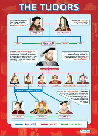 Primary History, American History Timeline, Royal Family Trees, The Tudors, History Posters, Uk History, History Facts Interesting, Tudor History, History Classroom