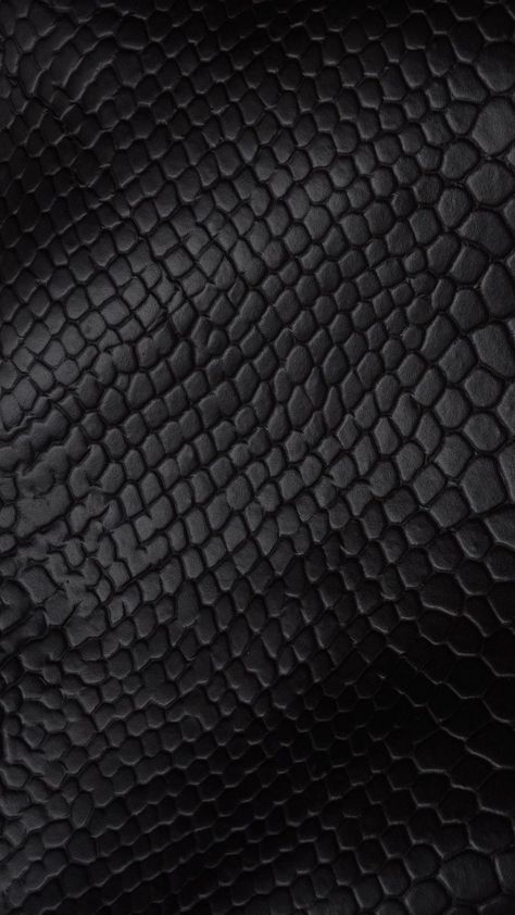 Social Platform, Snake Skin, Animal Print, Skin, Fabric, Black