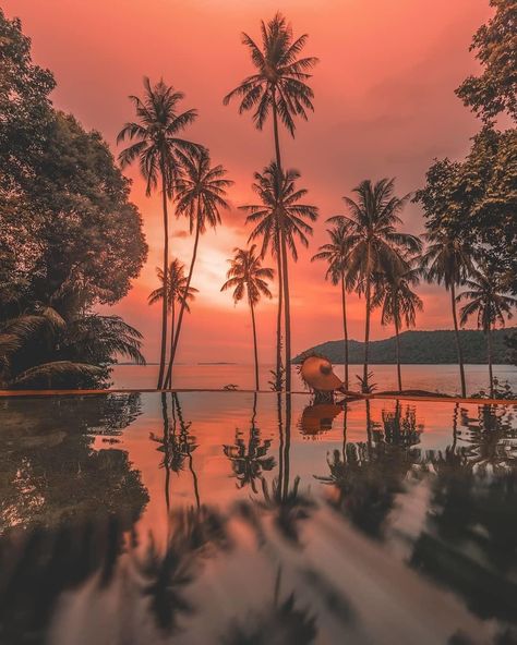 Soneva on Instagram: “Coral sunset at #sonevakiri. . . . #discoversoneva #experiencesoneva #visitthailand #skylover #sunsetlover #summer2019 #travelgram…” Coral Sunset, Sunset Ocean, Visit Thailand, Sunset Lover, Eco Friendly Design, Tropical Rainforest, 2024 Vision, Illustration Inspiration, Tropical Vibes