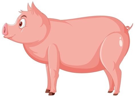 Free Vector | Cute pig with pink skin on white Pig Cartoon, Cute Pig, Pink Skin, Cute Pigs, Side View, Cartoon Character, Cartoon Characters, Graphic Resources, Vector Free