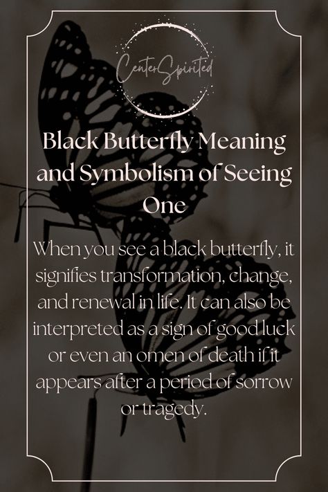 Seeing Black Butterfly Meaning, Black Butterfly Tattoo Meaning, What Does A Butterfly Tattoo Symbolize, Black Butterfly Meaning, The Black Butterfly, Moth Tattoo Meaning, Butterfly Symbolism, Orange And Black Butterfly, Butterfly Meaning