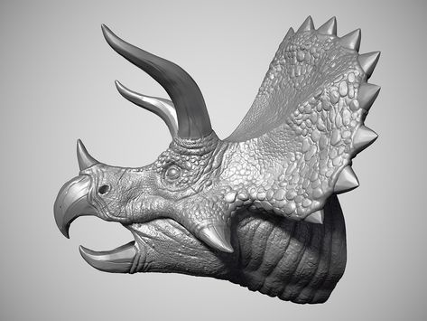 Triceratops Head, Animal Tips, Dinosaur Triceratops, Stl File Format, Additive Manufacturing, 3d Design, Sculpture Art, 3d Printing, Resolution