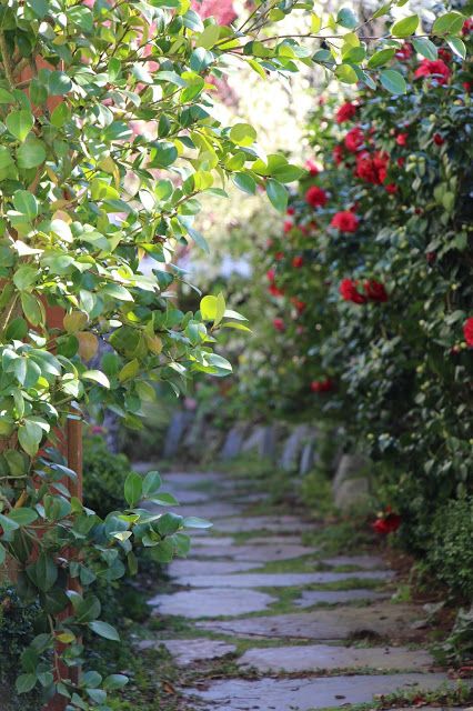 Garden Arches Ideas, Nechar Photos, Garden Arch Ideas, Side Background, Side Walkway, Outdoor Background, Flagstone Path, Summer Nature Photography, Garden Background