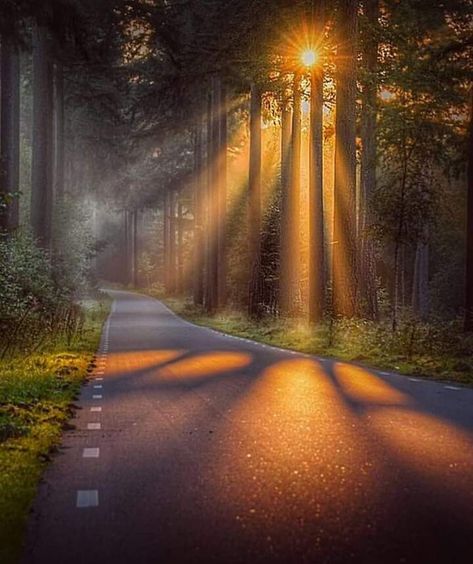 Good Morning Beautiful Pictures, Instagram Background, Drink Plenty Of Water, Morning Sunrise, Beautiful Locations Nature, Morning Pictures, Music Wallpaper, Beautiful Scenery Nature, Open Road