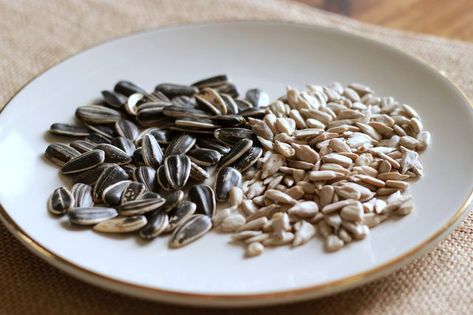 How to Roast Sunflower Seeds (with Pictures) | eHow Nuts And Seeds Recipes, How To Store Seeds, Dehydrated Food Recipes, Farming Landscape, Fresh Produce Market, Produce Garden, Weston A Price, Growing Sprouts, Chicken Apple Sausage