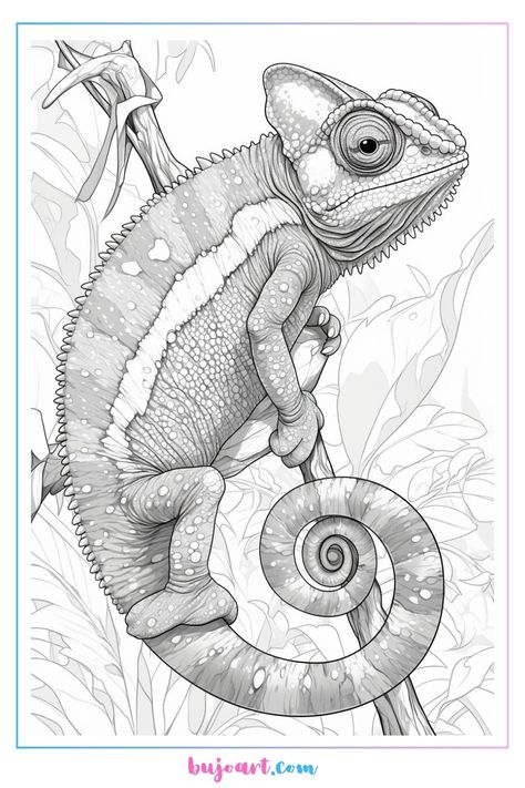 chameleon coloring page – BUJO ART Colouring Pages For Adults Animals, Chameleon Sketch, Chameleon Coloring Page, Chameleon Illustration, Chameleon Drawing, Elephant Sketch, Bujo Art, Animal Line Drawings, Chameleon Art